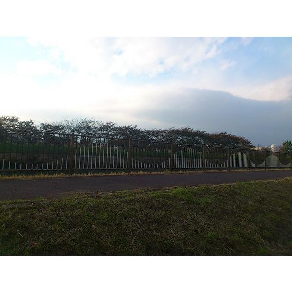 View photos from the dwelling unit. Riverview