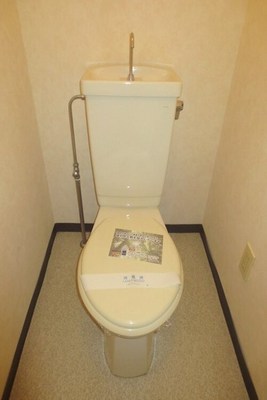 Toilet. Toilet with cleanliness.