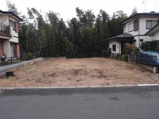 Local land photo