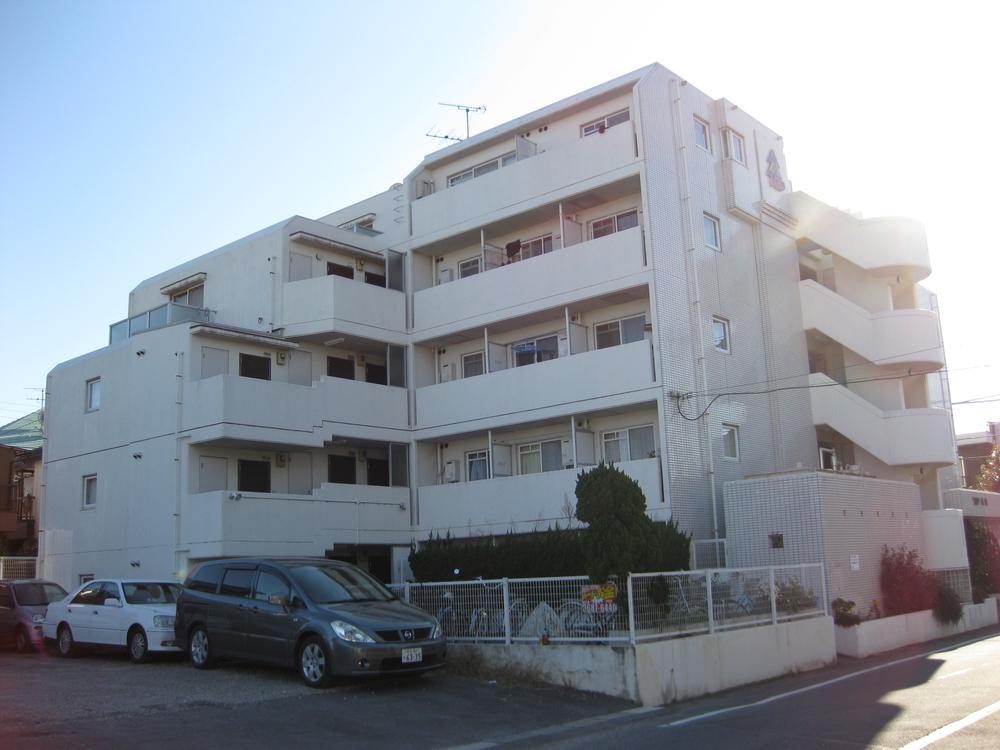 Local appearance photo. Local (11 May 2013) Shooting