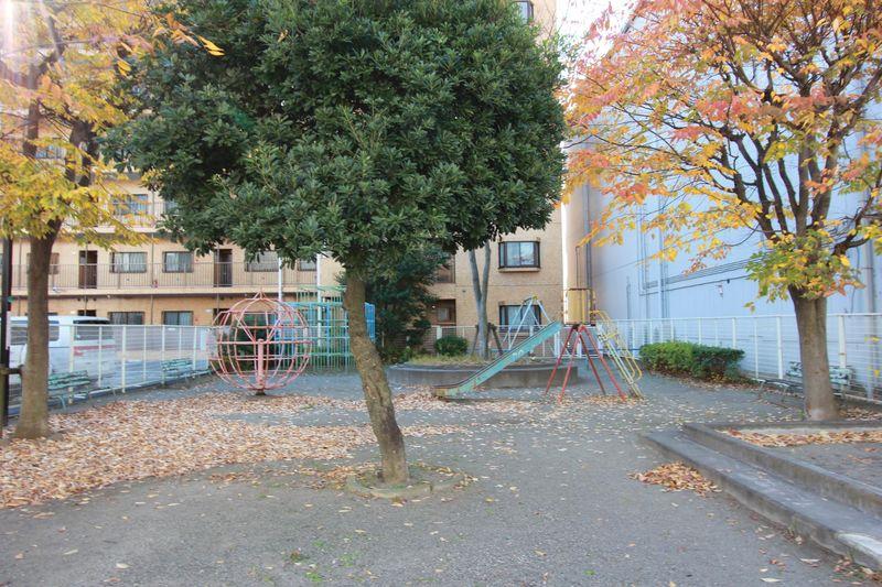 Other. Tajiri first park