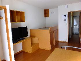 Living and room. Also storage space under the bet