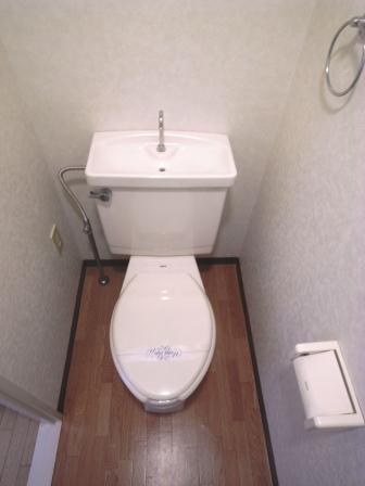 Toilet. Toilet