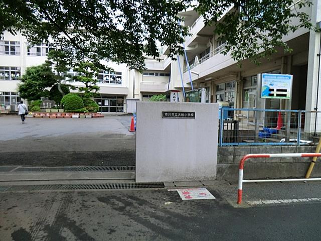 Primary school. 500m to Ichikawa Municipal Ogashiwa Elementary School