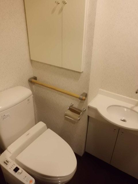 Toilet. Indoor (12 May 2013) Shooting