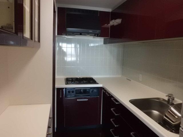 Kitchen. Indoor (12 May 2013) Shooting