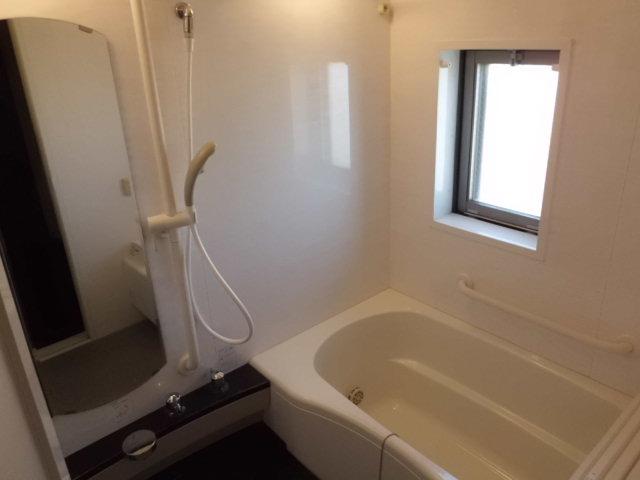 Bathroom. Indoor (12 May 2013) Shooting