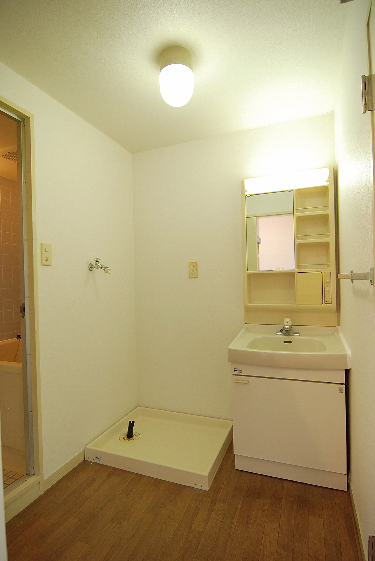 Bath. Spacious wash room. Of course comes with a door (sliding door).