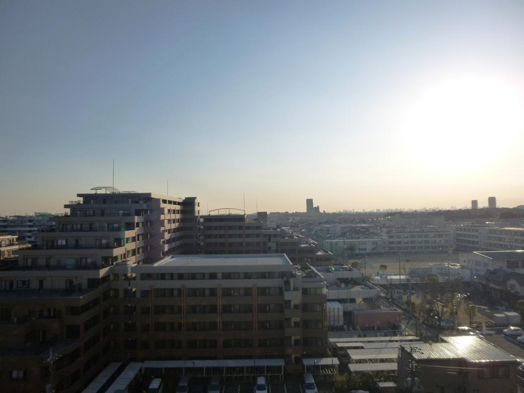 View. It offers Sky tree on a sunny day