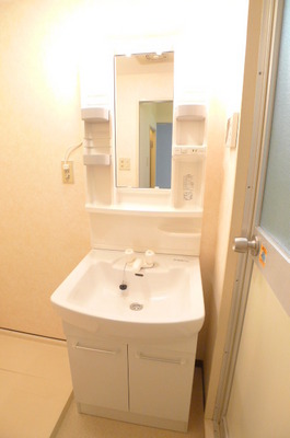 Washroom. Bathroom vanity