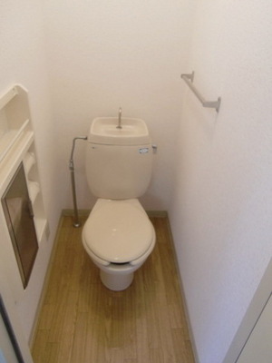 Toilet. It is a toilet with a clean.