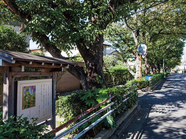 Surrounding environment. Ichikawa literature of the road (about 360m ・ A 5-minute walk)