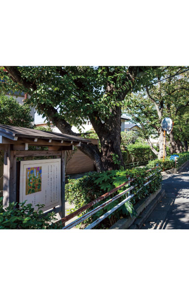 Ichikawa literature of the road (a 5-minute walk / About 360m) Yukari Ichikawa of literary ・ Cherry tree-lined along with the Introduction of work plate