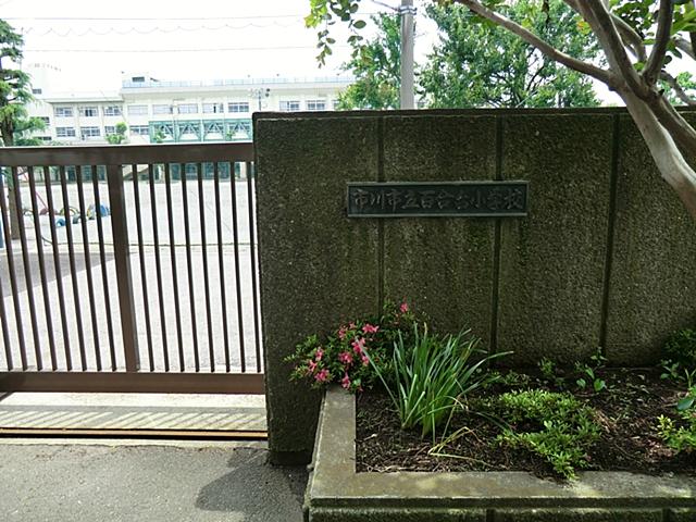 Primary school. 556m until Ichikawa Municipal lilies stand elementary school