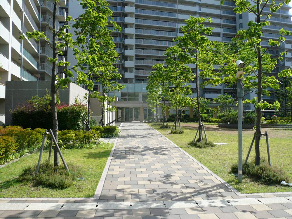 Local appearance photo