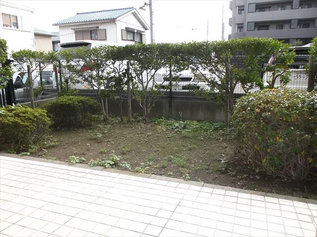 Garden. Local (11 May 2013) Shooting