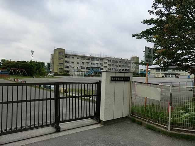 Primary school. Inagoshi until elementary school 160m
