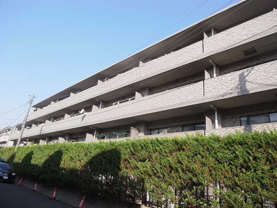 Local appearance photo