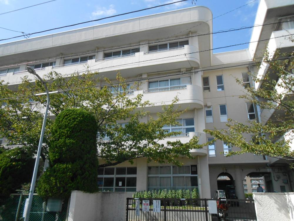 Junior high school. 258m until Ichikawa Municipal Fukuei junior high school