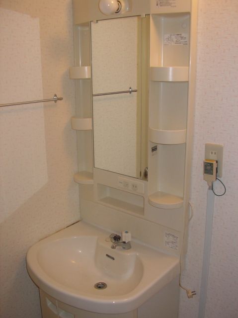 Washroom. Bathroom vanity