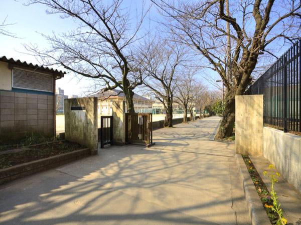 Junior high school. 1560m to Ichikawa City first junior high school