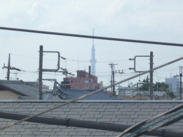 View. Sky tree looks