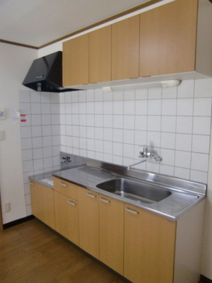 Kitchen. Muted colors of the kitchen