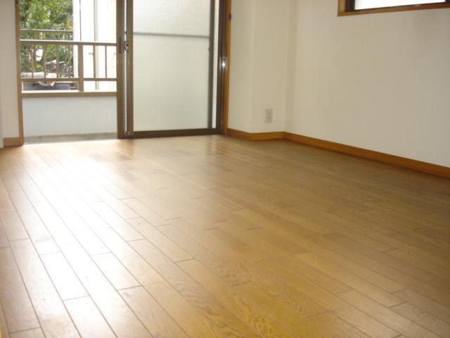 Living and room. Beautiful flooring