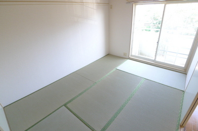 Living and room. Japanese style room