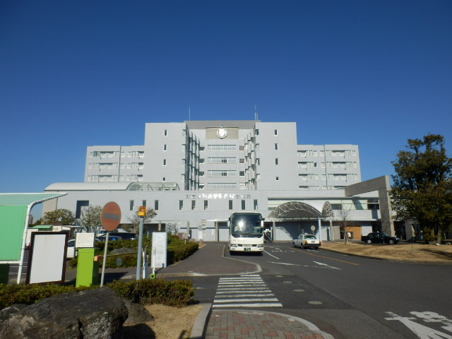 Hospital. Tokyoshikadaigakuichikawasogobyoin until the (hospital) 566m