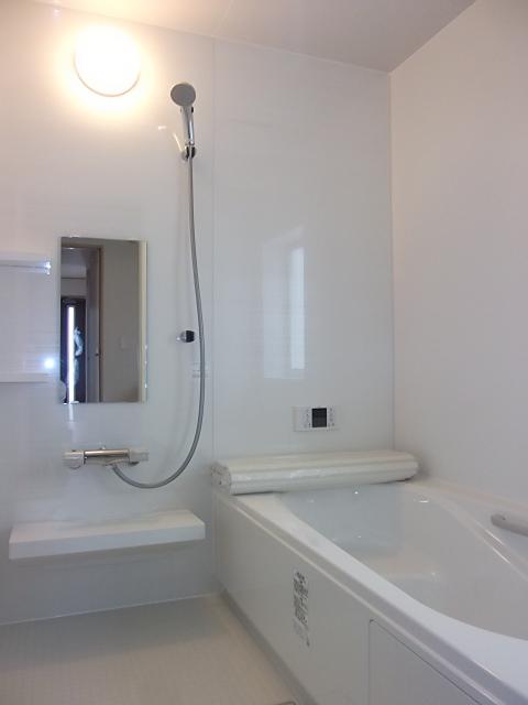 Bathroom. Local (09 May 2013) Shooting