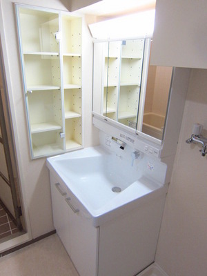 Washroom. Washstand of shampoo dresser type