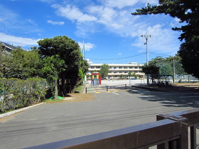 Primary school. Municipal butterbur Island Elementary School (elementary school) up to 400m