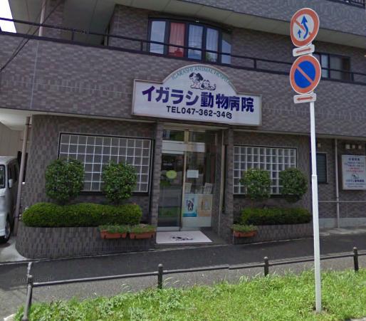 Hospital. Igarashi until the animal hospital 667m