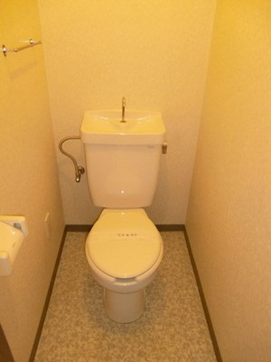 Toilet. It is a toilet with a clean