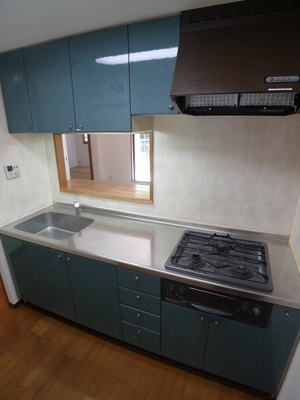 Kitchen. System kitchen (three-necked)