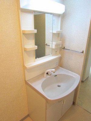 Washroom. It is easy to clean with shampoo dresser type!