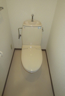 Toilet. Bidet can be installed.