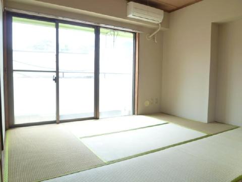 Living and room. Beautiful tatami