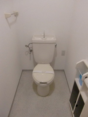 Toilet. Simple toilet.