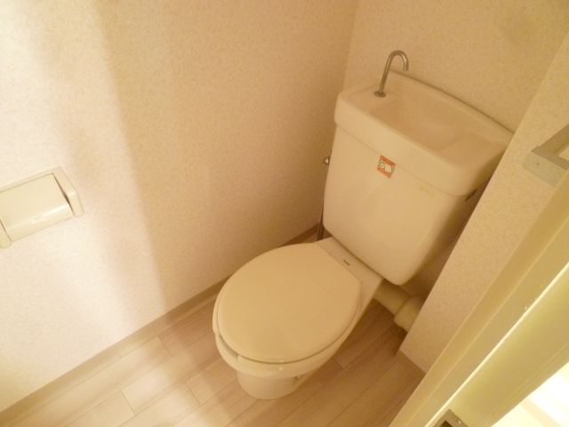 Toilet. Western-style toilet. 