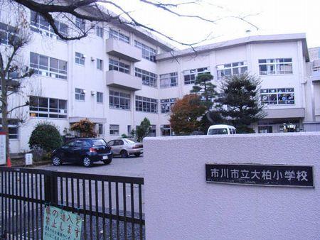 Primary school. 330m until Ichikawa Municipal Ogashiwa Elementary School