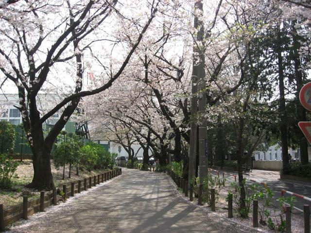 park. 500m to Kokufudai park