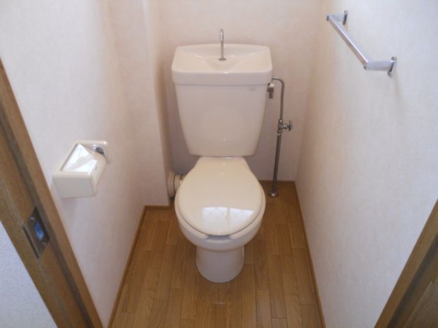 Toilet. It is a beautiful toilet.