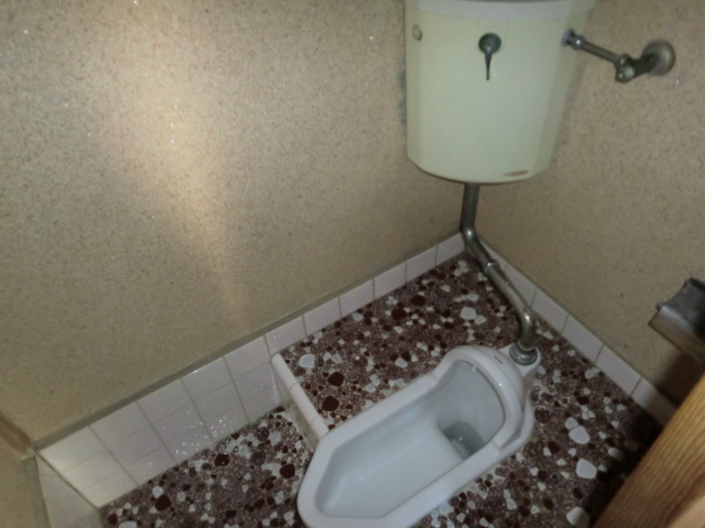 Toilet