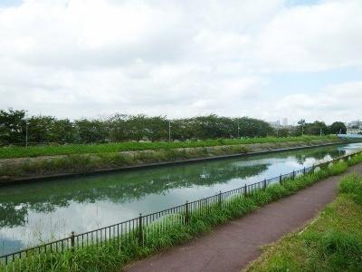 Other Environmental Photo. To other environment photo 10m mom River