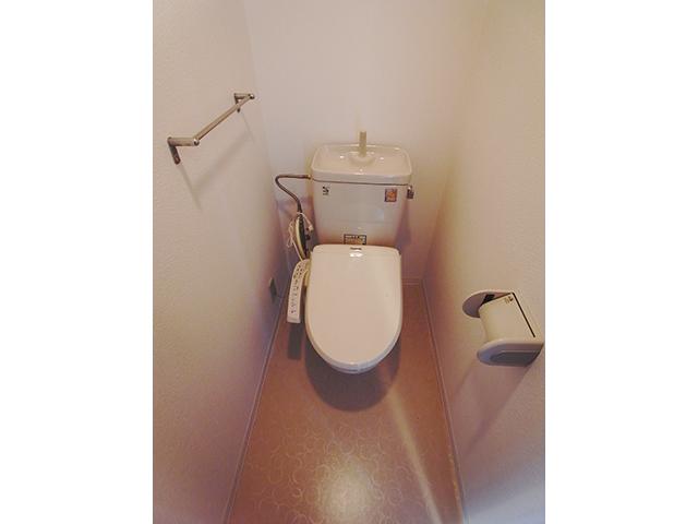 Toilet. Cleaning toilet seat with toilet