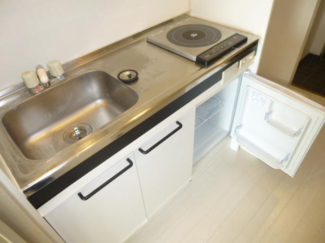 Kitchen. 1-burner stove and with a mini fridge. Indoor Laundry Storage