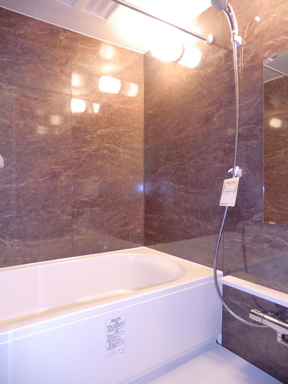 Bathroom. Bathroom ventilation 1416 unit bus with dryer (11 May 2013) Shooting