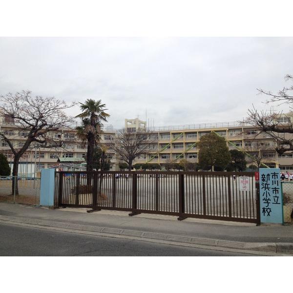 Primary school. 110m Niihama elementary school to Ichikawa Municipal Niihama Elementary School